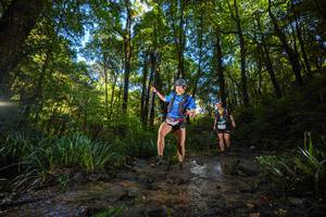 BIB: 
                            <button type="button" onclick="openModal(19229496)" class="btn btn-primary btn-sm float-right btn-popup" data-toggle="modal" data-target=".modal-high-quality">
                        <i class="fas fa-shopping-cart"></i> Add to Cart
                    </button>
                                            <button type="button" onclick="isThisMe(19229496, true)" class="btn btn-success btn-sm float-right btn-popup btn-isme hidden" data-toggle="tooltip" data-placement="bottom" title="นี่คือรูปของคุณใช่ไหม คลิกที่นี่เพื่อเอาเข้าอัลบั้ม">
                        <i class="fas fa-plus"></i> Add to album
                    </button>
                    <button type="button" onclick="isThisMe(19229496, false)" class="btn btn-warning btn-sm float-right btn-popup btn-isnotme hidden">
                        <i class="fas fa-ban"></i> Remove from album
                    </button>